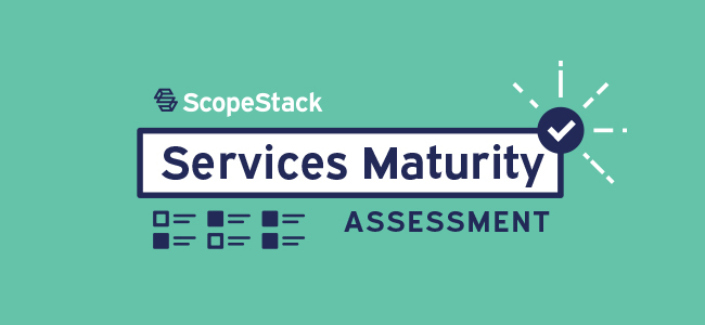 Services Maturity Assessment